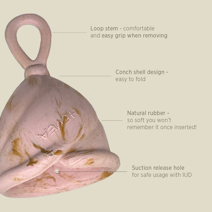Close-up of Hevea Loop Cup showing loop stem, conch shell design, suction hole, and soft natural rubber material
