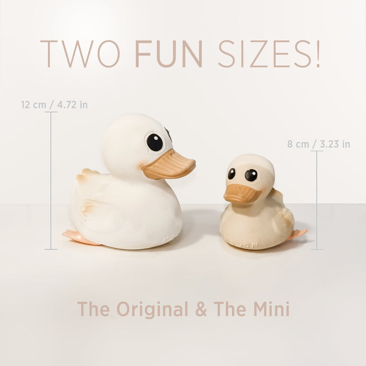 HEVEA Kawan Rubber Ducks in two sizes, Original (12 cm) and Mini (8 cm), made from natural rubber with a safe, mold-free design.