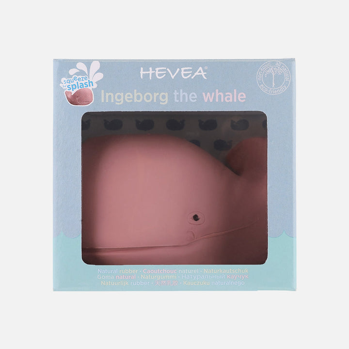 HEVEA Squeeze'n'Splash Whale bath toy in Ingeborg pink shown in retail packaging, natural rubber, eco-friendly design